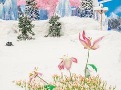 -湘江欢乐城欢乐雪域