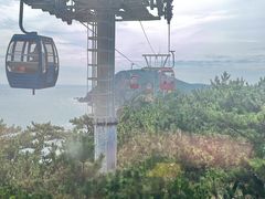 -摩天岭风景区