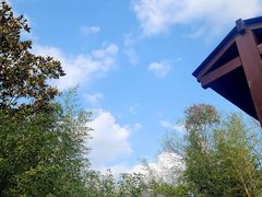 -楼观道温泉酒店