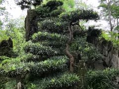 -成都武侯祠博物馆