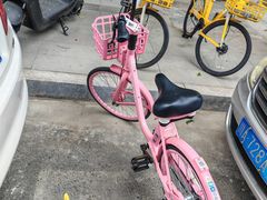 -白鹭湾湿地公园