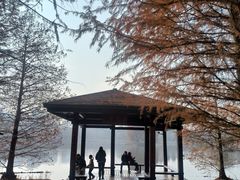 -浙江农林大学(东湖校区)