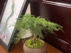 -朝花夕拾中餐厅(台儿庄古城复兴广场店)