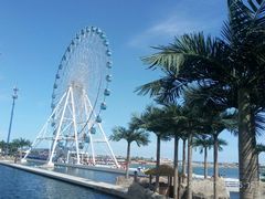 -秦皇岛乐岛海洋王国