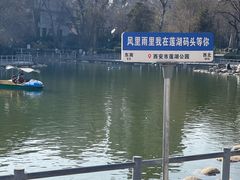 -莲湖公园