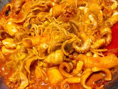 -红辣椒八爪鱼特色韩国料理
