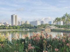 -南宁南湖公园