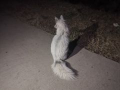 -鬼笑石后山停车场
