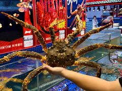 -驻海渔市(置信店)