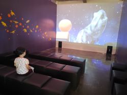 -恐龙探索乐园(磁器口店)