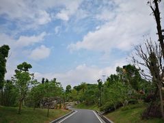 -枫香湖儿童公园