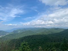 -武陵山森林公园