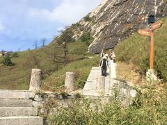 景点-朱雀国家森林公园
