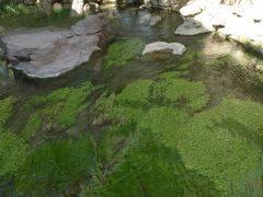 -水磨沟公园