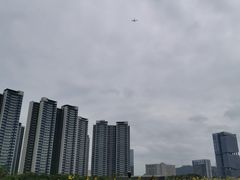 -光明小镇欢乐田园