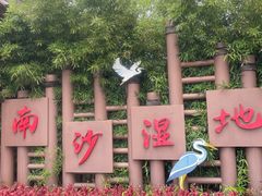 -大湾区中央湿地公园