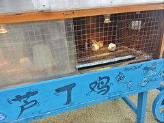 -杭州千岛湖开元度假村