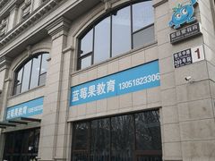 -蓝莓果幼儿园(通州梨园店)