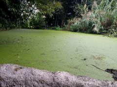 -成都市活水公园