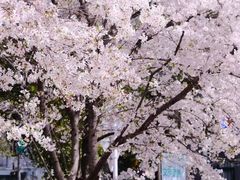 -方山风景区定林寺