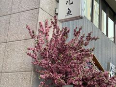 -莫家传承菜(耗儿鱼特色店)