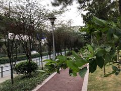 -美兰湖景区