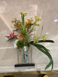 -广州曙光医学美容医院