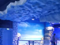 -上海海昌海洋公园-冰山北极馆