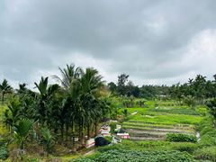 -海恋园海鲜餐馆