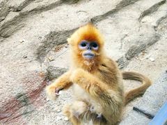 -大连森林动物园