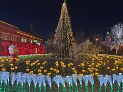 -南宫五洲植物乐园