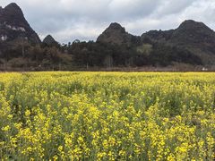-靖西鹅泉风景区