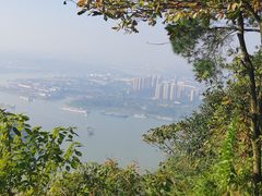 -铁山坪森林公园