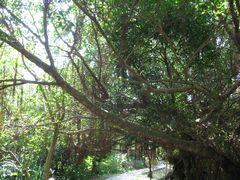 -鹅銮鼻公园