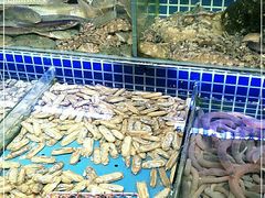 水产区-必点海鲜·鲅鱼水饺(鞍山西道店)