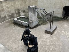 -保定市动物园
