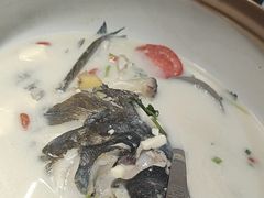 -全乐鱼馆·淳牌有机鱼直营店