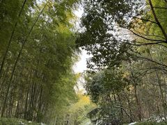 -天目湖涵田度假村