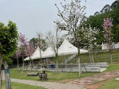 -黄龙溪欢乐田园
