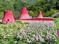 -秦岭终南山世界地质公园翠华山景区