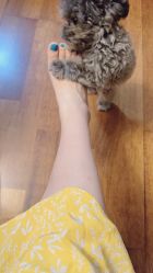 -安娜美甲美睫沙龙