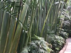 -龙达温泉生态城