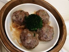 -星湖愉景酒家
