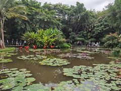 -曼听御花园