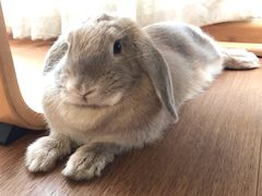 -盛宝粥店(建设街店)