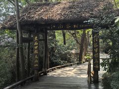 -天目湖山水园