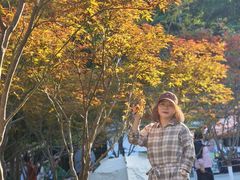 -广州市帽峰山景区