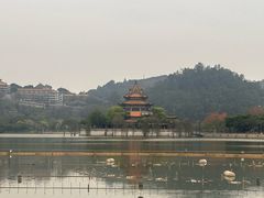 -顺峰山公园