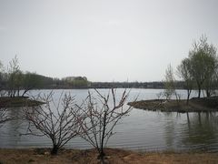 -东郊湿地公园