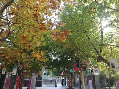 -清华大学附属小学商务中心区实验小学